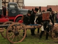Landmaschienentreffen-(158).jpg