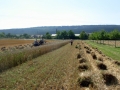 DSCN2158.jpg